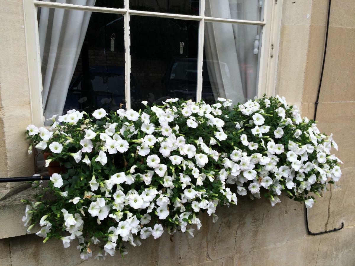 No 4 Ainslie'S Belvedere B&B Bath Dış mekan fotoğraf
